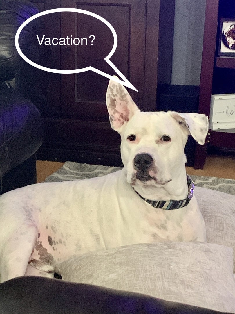 Pet Friendly Bradenton and Anna Maria Vacation Rentals